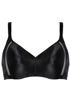 Minimizer met mesh detail