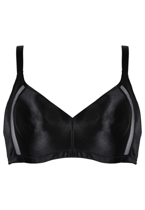 Minimizer met mesh detail
