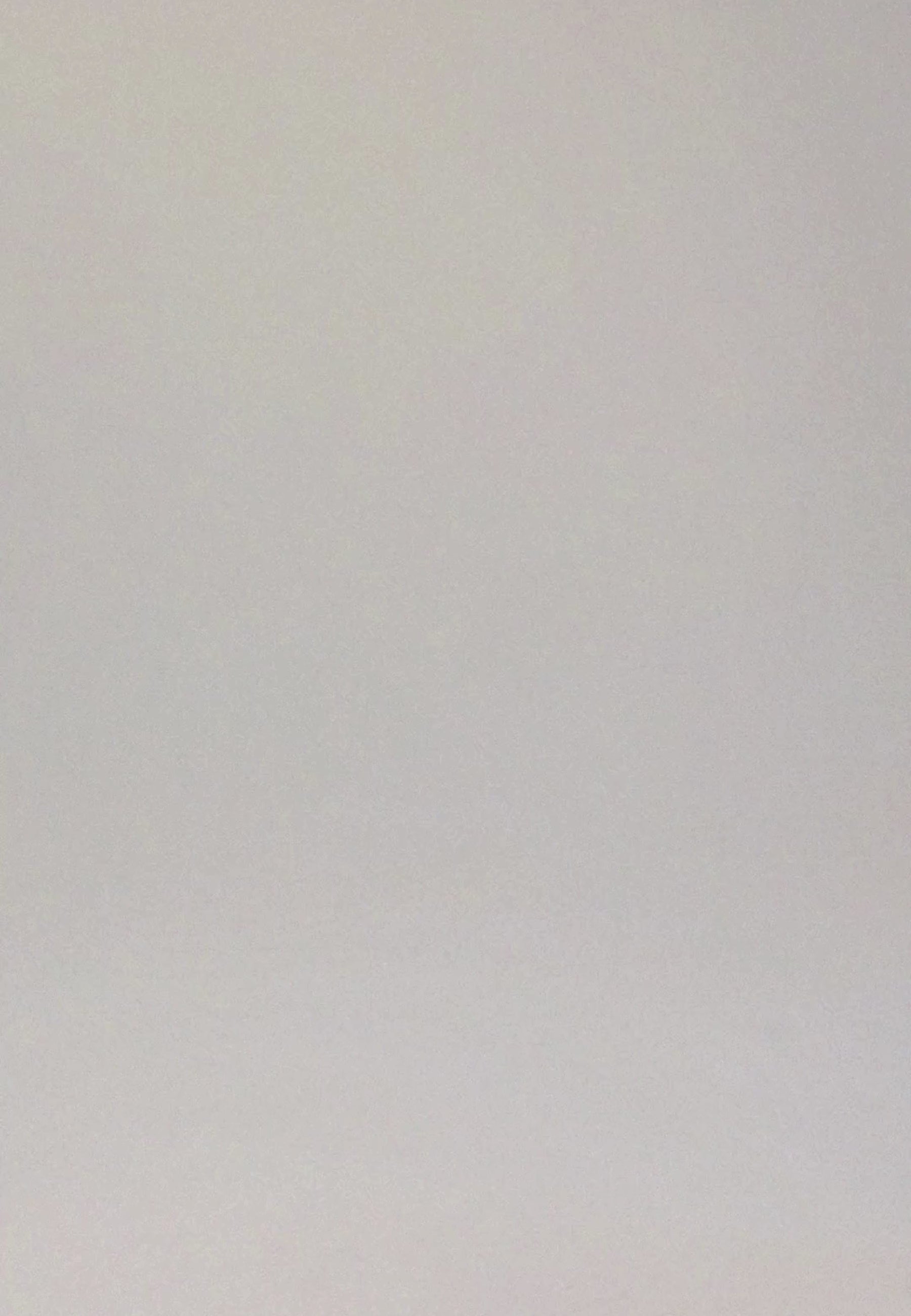 Video van vrouw die de lambada prothese bh en slip in de kleur beige van het merk Megami draagt