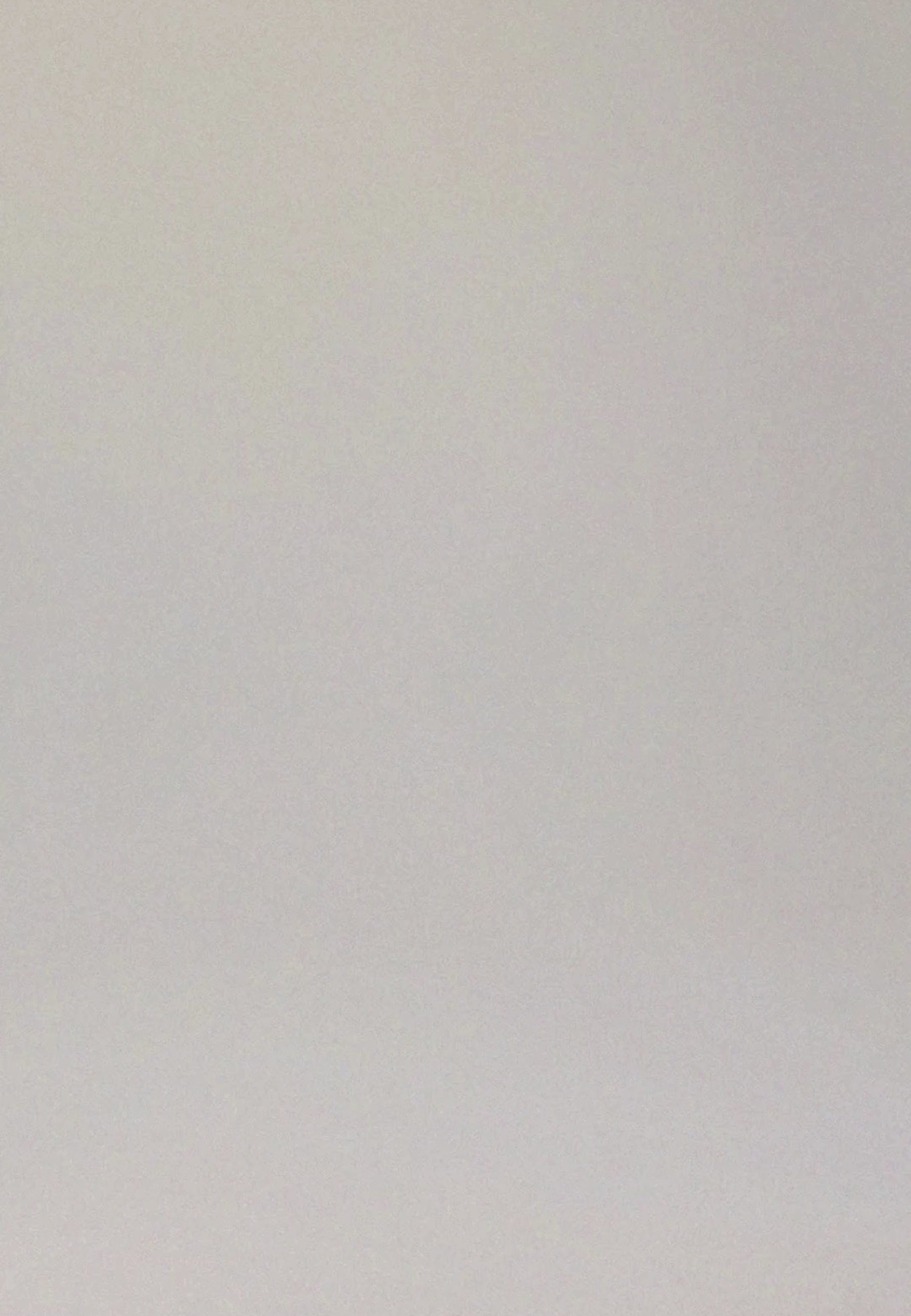 Video van vrouw die de boston prothese bh en slip in de kleur burgundy van het merk Megami draagt